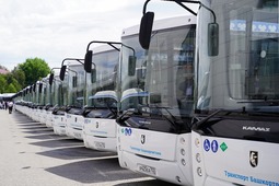 Новые автобусы соответствуют всем необходимым требованиям комфорта и безопасности
